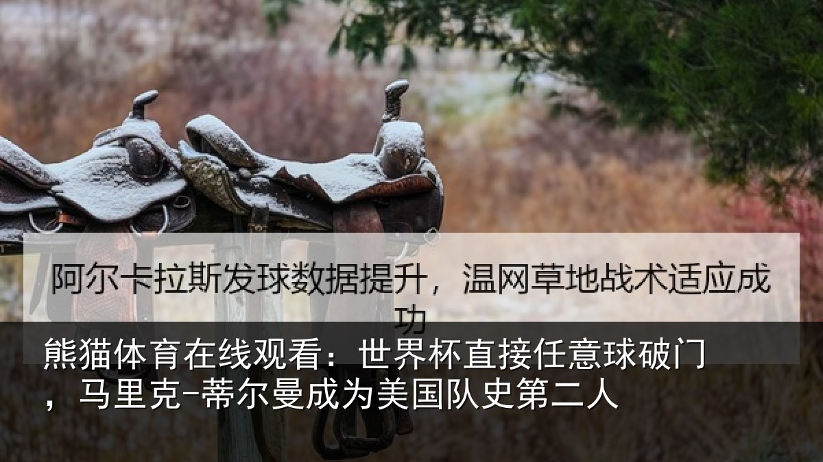 熊猫体育在线观看：世界相关情况，马里相关情况队史第二人