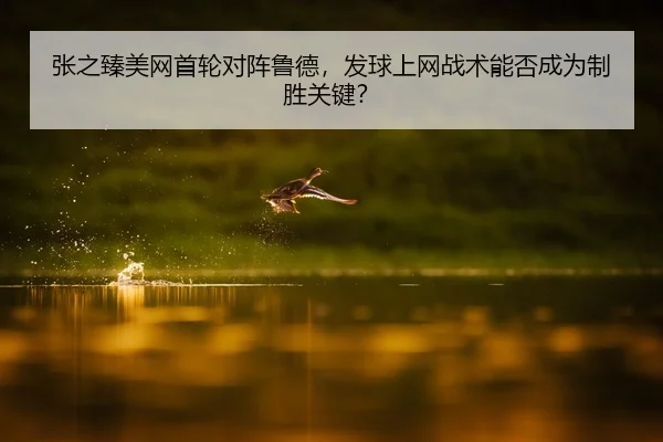 zhang-zhi-zhen-mei-wang-shou-lun-dui-zhen-lu-de-fa-qiu-shang-wang-zhan-shu-neng-fou-cheng-wei-zhi-sheng-guan-jian-2-710.jpg