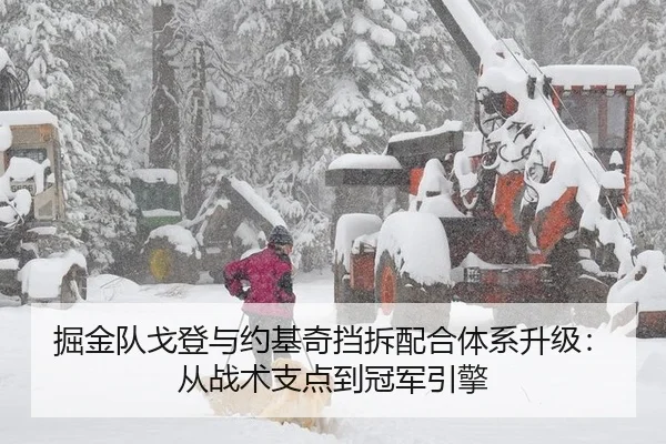 掘金队戈登与约基奇挡拆配合体系升级：从战术支点到冠军引擎