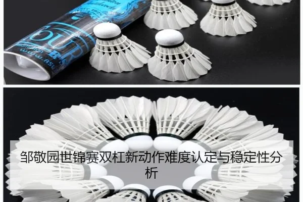 邹敬园世锦赛双杠新动作难度认定与稳定性分析