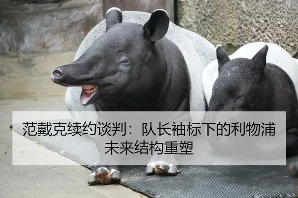 范戴克续约谈判：队长袖标下的利物浦未来结构重塑