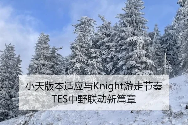 小天版本适应与Knight游走节奏 TES中野联动新篇章